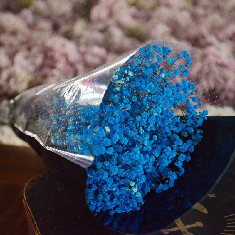 Dried Flower Dried Gypsophila Baby’s breath