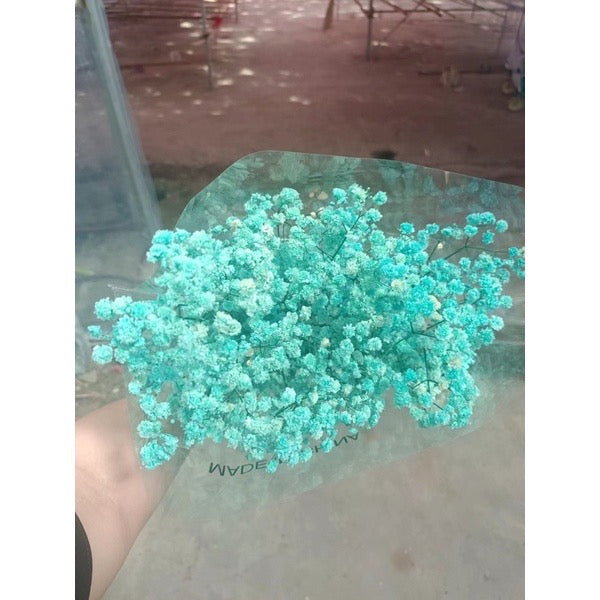 Dried Flower Dried Gypsophila Baby’s breath