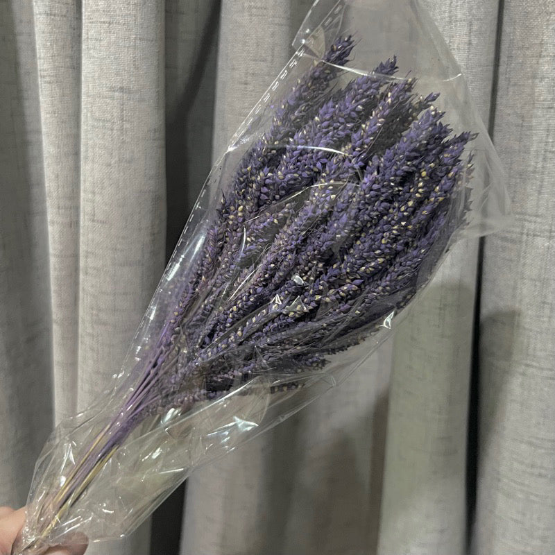 Dried Trigo Grass(LOCAL)