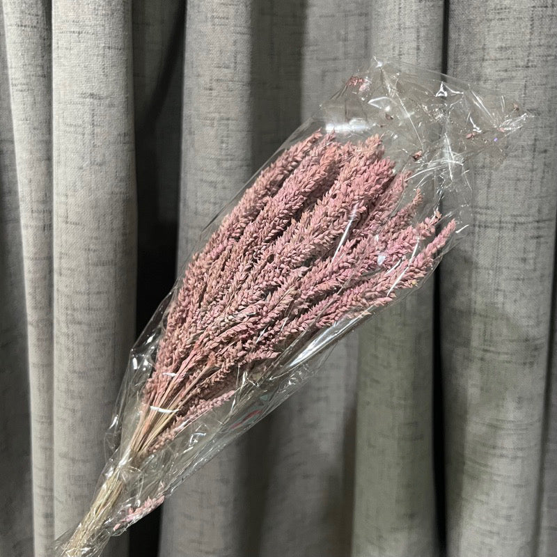 Dried Trigo Grass(LOCAL)