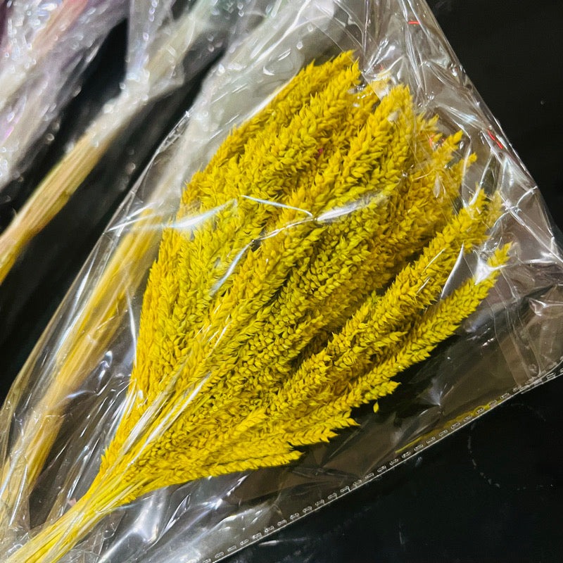 Dried Trigo Grass(LOCAL)