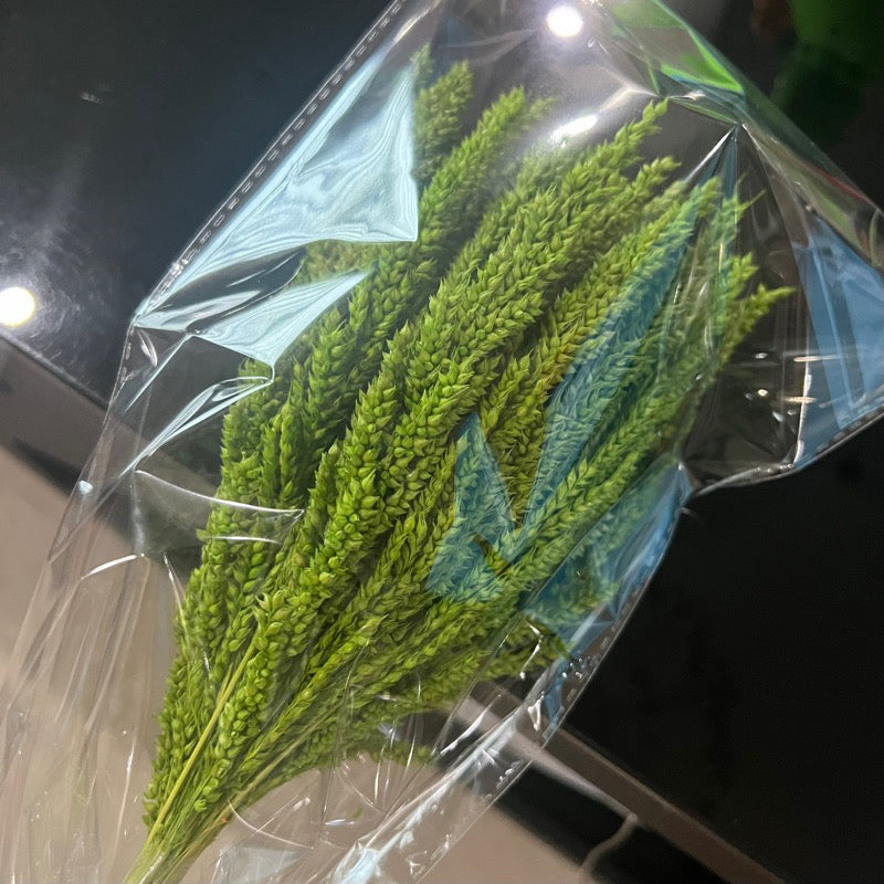 Dried Trigo Grass(LOCAL)