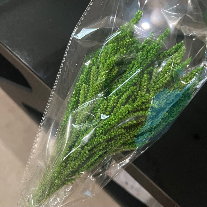 Dried Trigo Grass(LOCAL)