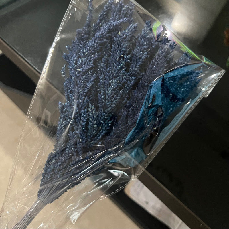 Dried Trigo Grass(LOCAL)