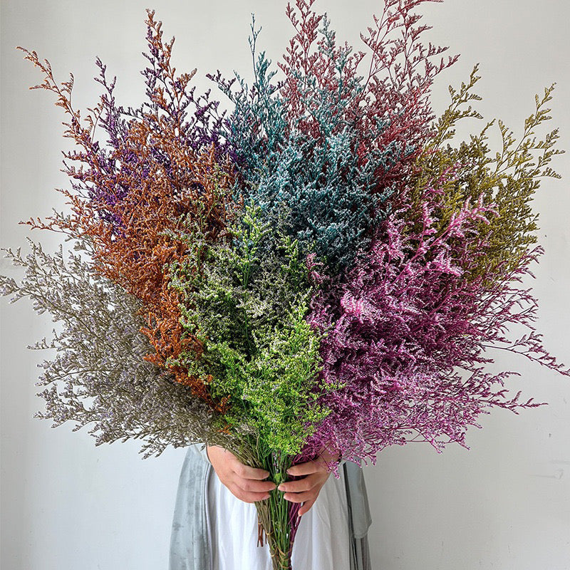 Dried Misty Grass (IMPORTED)