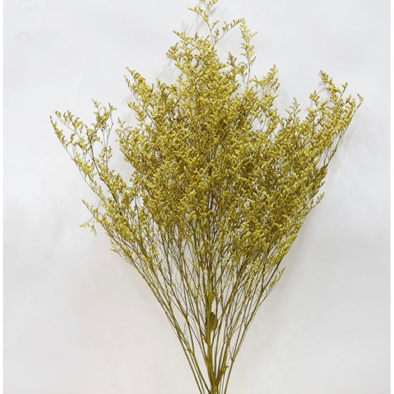 Dried Misty Grass (IMPORTED)