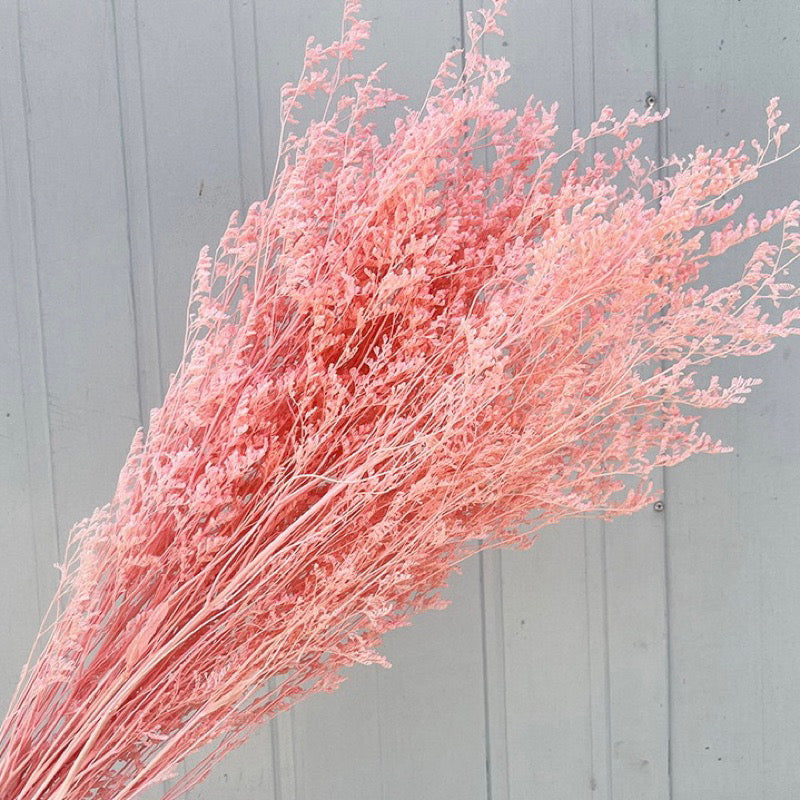 Dried Misty Grass (IMPORTED)