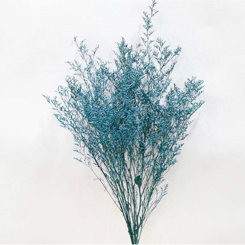 Dried Misty Grass (IMPORTED)