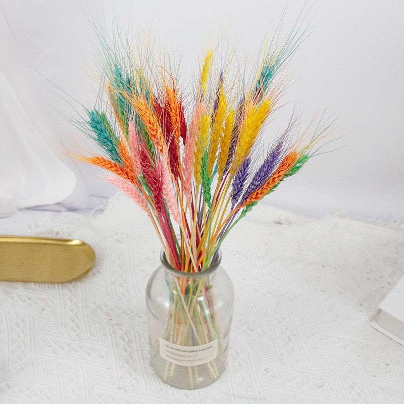 Dried Wheat Barley (IMPORTED)