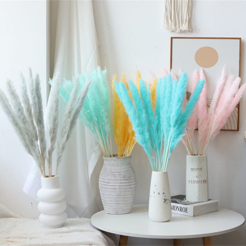 Small Pampas Dried Flower (IMPORTED)