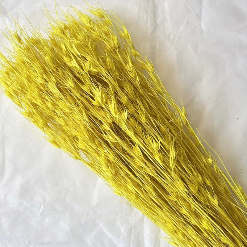 Dried BellFlowers (IMPORTED)