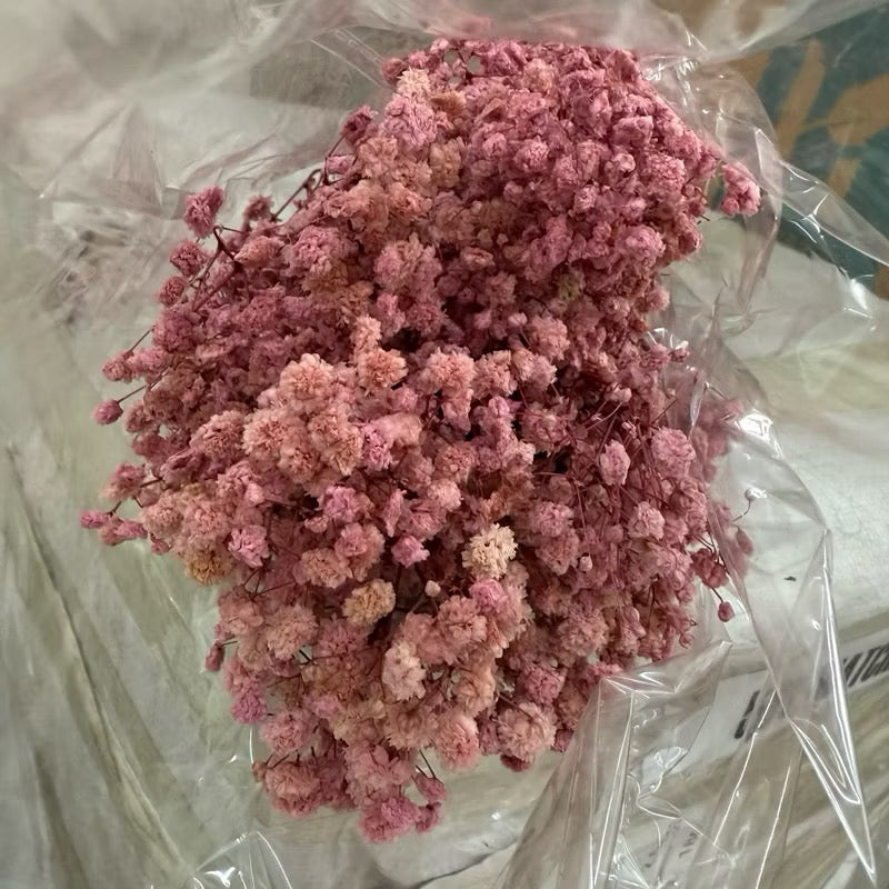 Dried Flower Dried Gypsophila Baby’s breath