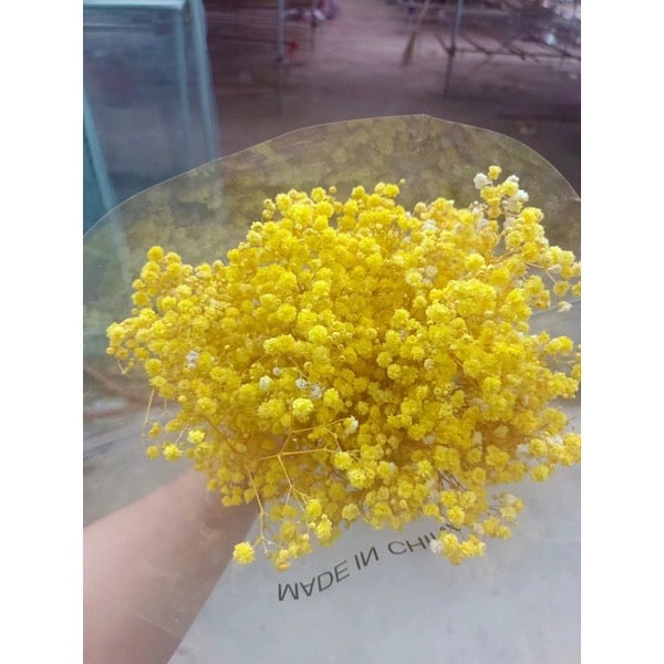 Dried Flower Dried Gypsophila Baby’s breath