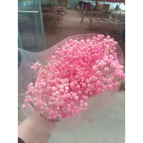 Dried Flower Dried Gypsophila Baby’s breath