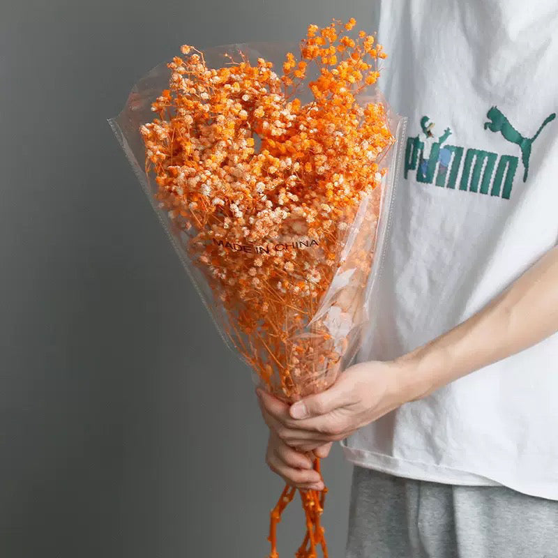 Dried Flower Dried Gypsophila Baby’s breath