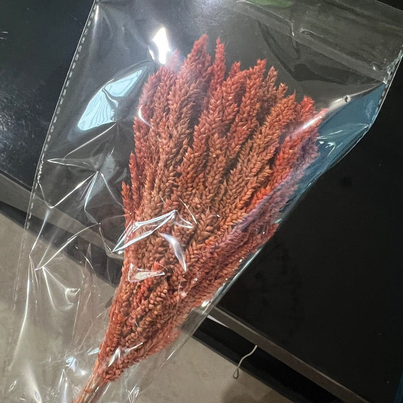 Dried Trigo Grass(LOCAL)